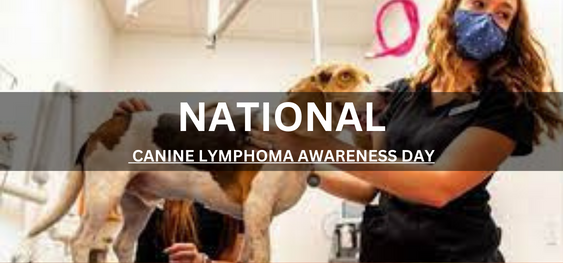 NATIONAL CANINE LYMPHOMA AWARENESS DAY [राष्ट्रीय कैनाइन लिंफोमा जागरूकता दिवस]